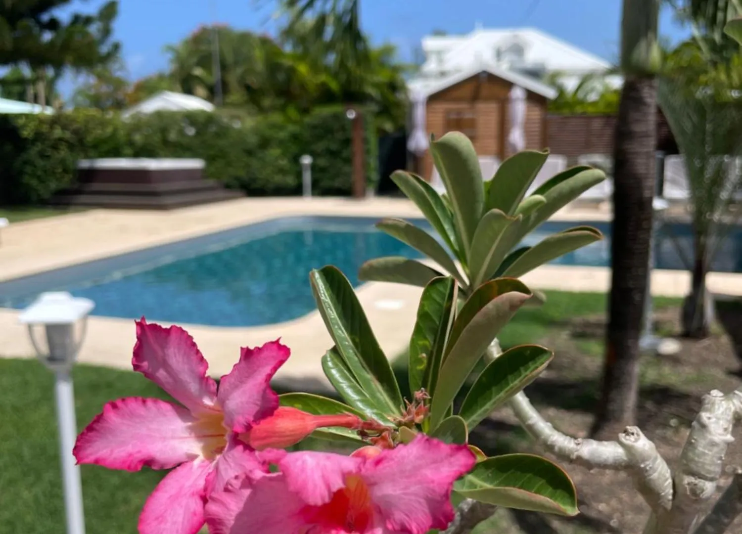 Chambres D'Hotes Chez Flo Saint-Francois  Bed & Breakfast Saint-Francois (Grande-Terre)